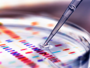 Pipette adding sample to petri dish with DNA profiles in background Pipette adding sample to petri dish with DNA profiles in background